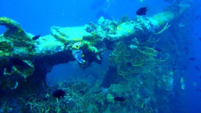 Coron Private Tour D: Reef and Wrecks - Helpful Information for the Tour