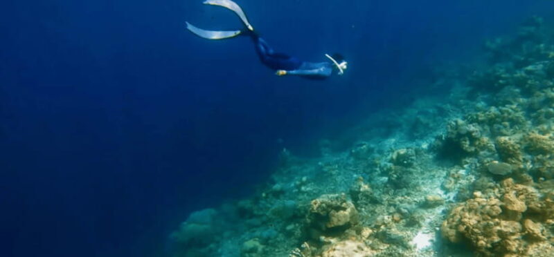 Coron: Pukaway Cave Underground Lake Tour w/Lunch (Shared) - Authentic Experiences from Fellow Travelers
