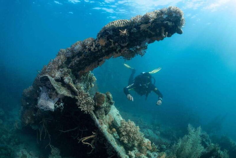 Coron Reef and Wrecks Tour (Private Tour) - What to Expect on the Coron Reef and Wrecks Tour