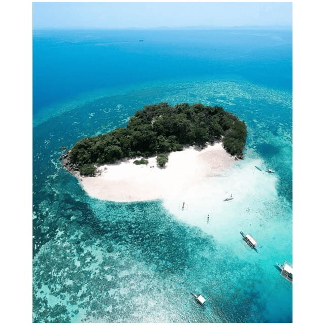 Coron: Reef & East Tangat Wrecks Tour with Lunch - Exploring Coron’s Top Highlights