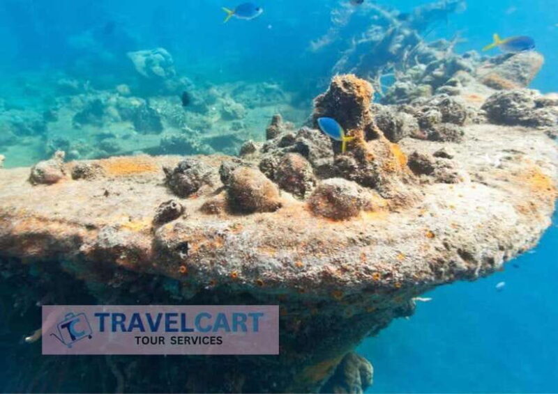 Coron Reef & Wrecks Tour - What Makes This Tour Stand Out?