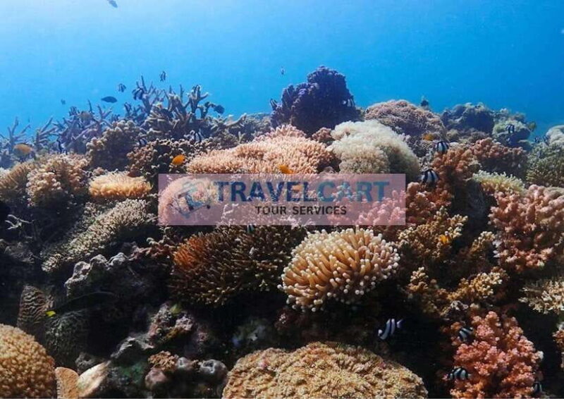 Coron Reef & Wrecks Tour - First Stop: Pass Island