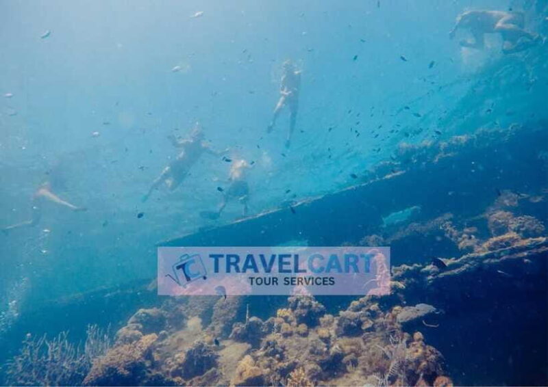 Coron Reef & Wrecks Tour - WWII Wreck at East Tangat