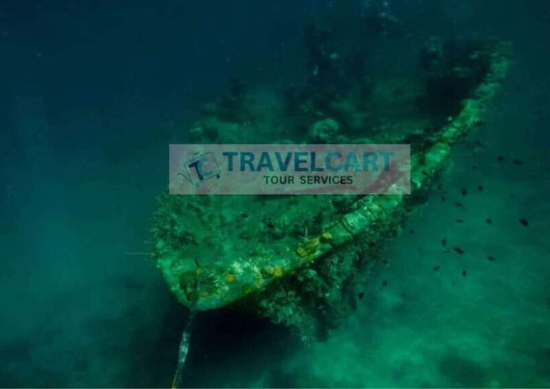 Coron Reef & Wrecks Tour - An Overview of the Coron Reef & Wrecks Tour