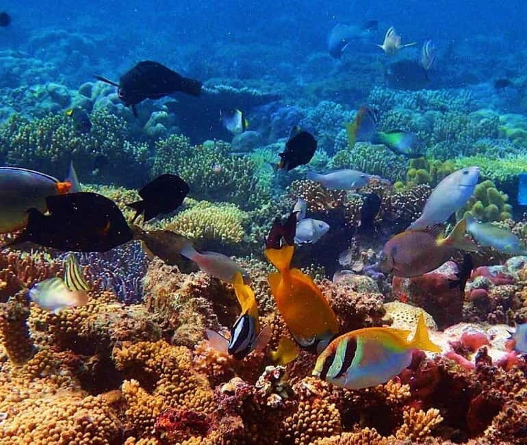 Coron: Siete Pecados & Pukaway Cave Private Tour - Practical Details and Value