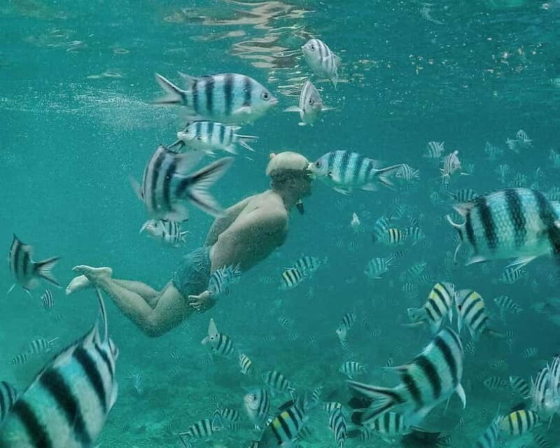 Coron: Super Ultimate 7 Destination with Lunch & Transfer - Who Is This Tour Best For?