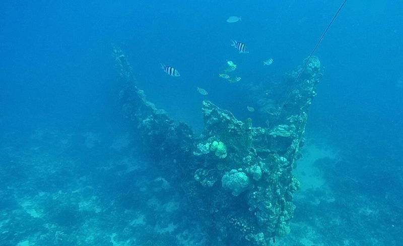 Coron Super Ultimate Day Tour with Shipwreck - Beach lunch, not just a quick refuel