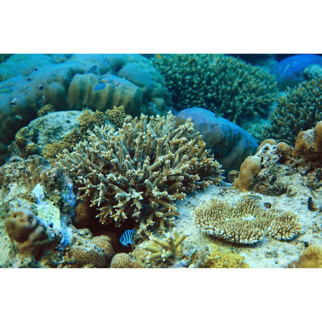 Coron: Super Ultimate Tour w/Barracuda Lake & Lunch - The Sum Up