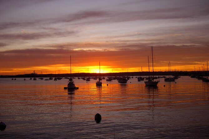 Coronado Bike Tour - Good To Know