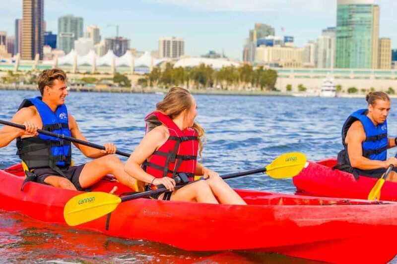 Coronado Guided Kayak Tour 90-Min - An In-Depth Look at the Coronado Guided Kayak Tour