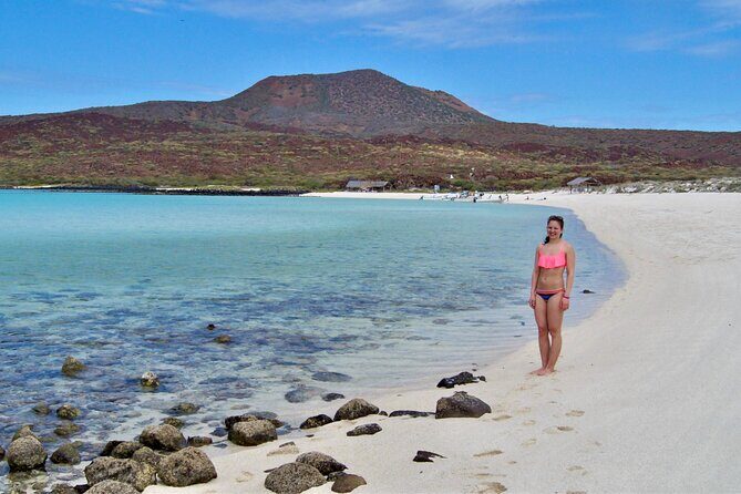 Coronado Island and Snorkel Tour - Good To Know