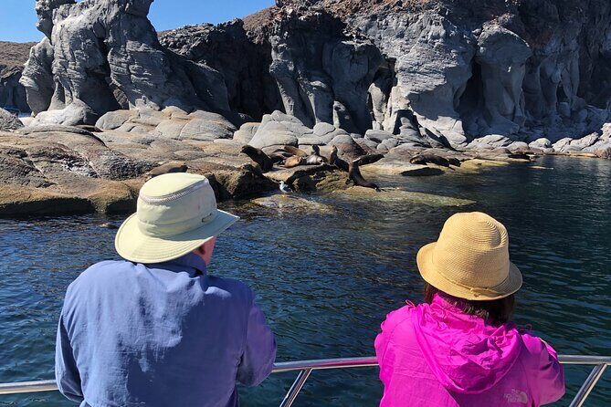 Coronado Island and Snorkel Tour - The Sum Up: Who Will Love This Tour?