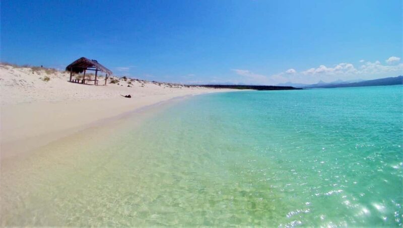 Coronado Island and Snorkel Tour - Good To Know