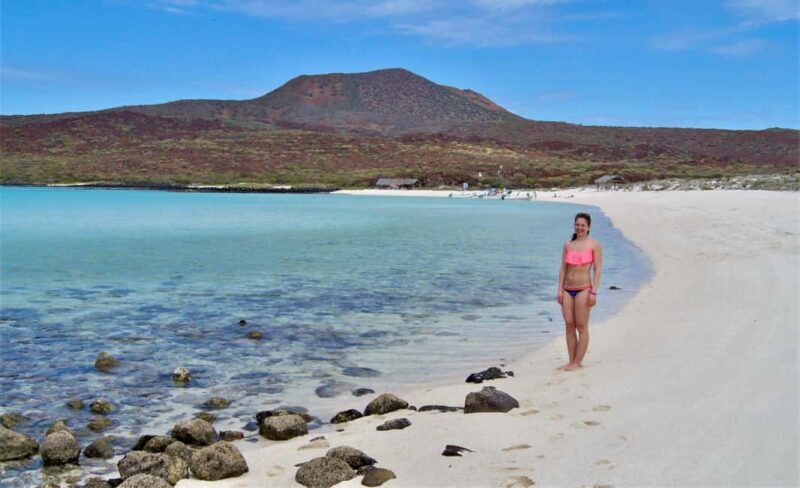 Coronado Island and Snorkel Tour - An Overview of the Experience