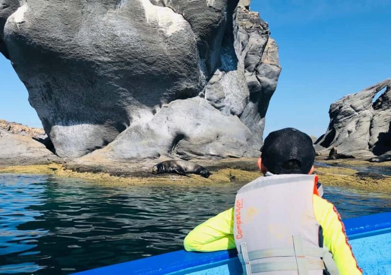 Coronado Island and Snorkel Tour - Practical Details and Tips