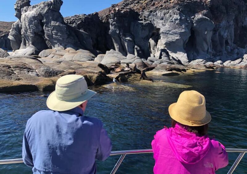 Coronado Island and Snorkel Tour - Why This Tour Works for Travelers