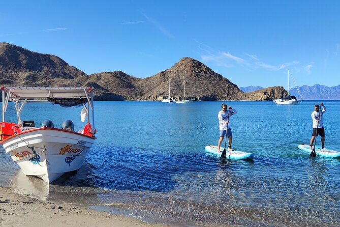 Coronado Island Visit and Sea Lions Swimming - Snorkeling with Sea Lions and Marine Wildlife