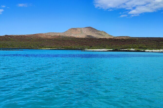 Coronado Island Visit and Sea Lions Swimming - Relaxing Beach Time and Delicious Ceviche