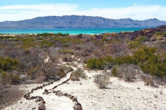 Coronados Island Tour in Loreto Bay - Exploring the Loreto Coronados Island Tour