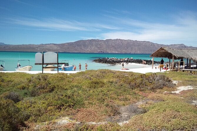 Coronados Island Tour in Loreto Bay - Final Thoughts: Who Will Enjoy This Tour?