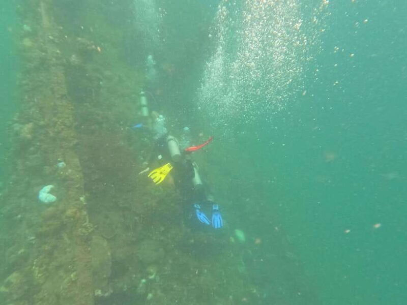 CORON:REEF AND WRECK - 2 JAPANESE WRECK AND PASS ISLAND TOUR - Authentic Insights from Past Travelers