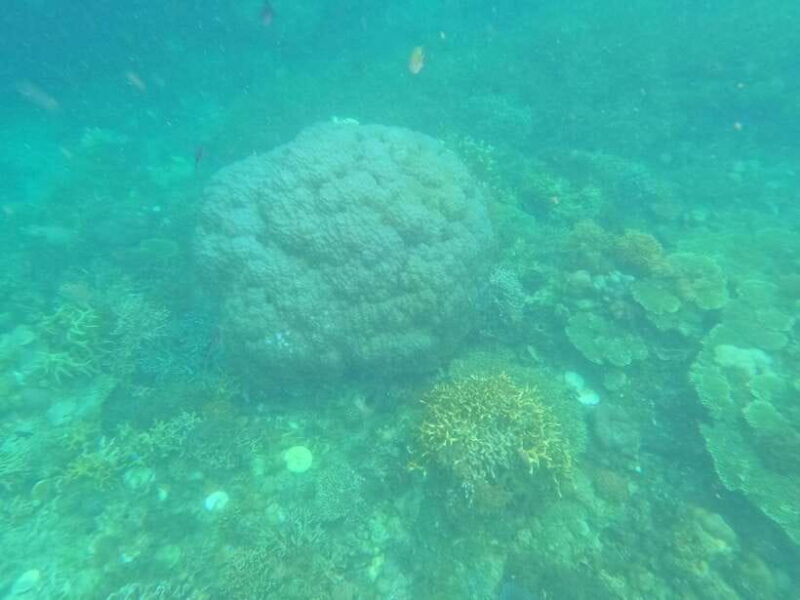 CORON:REEF AND WRECK - 2 JAPANESE WRECK AND PASS ISLAND TOUR - FAQs