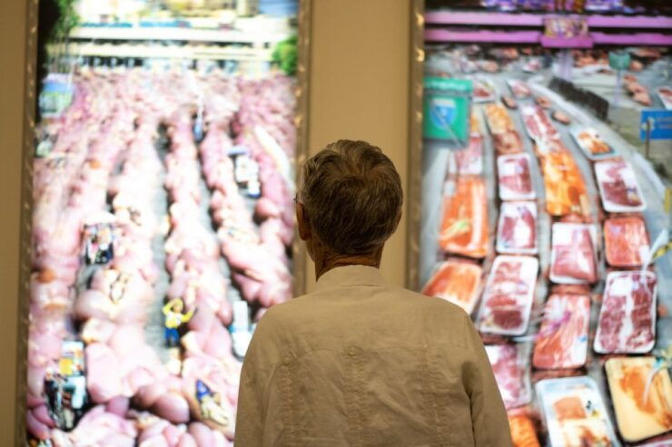 Corpus Christi: The Art Museum of South Texas Entry Ticket - Inclusions and Services