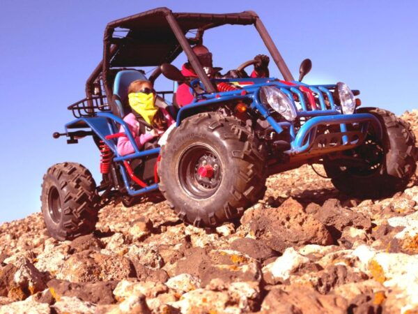 Corralejo: Buggy Safari Tour - The Sum Up