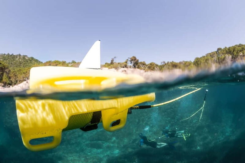 Corralejo: Lobos Island Beginner Dive Boat Tour and Snorkel - Corralejo: Lobos Island Beginner Dive Boat Tour and Snorkel — A Practical Dive into the Canary Islands’ Marine Magic