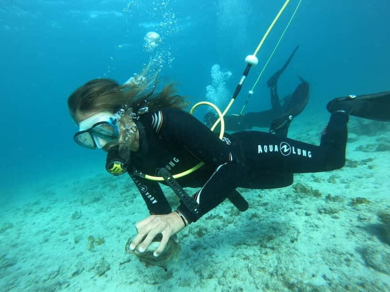 Corralejo: Lobos Island Beginner Dive Boat Tour and Snorkel - FAQ