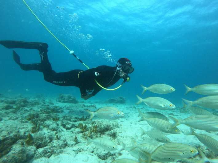 Corralejo: Lobos Island Beginner Snorkel and Dive Boat Tour - Good To Know