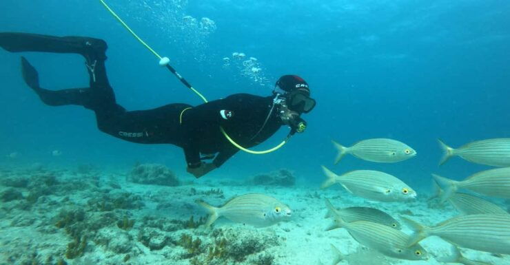 Corralejo: Lobos Island Beginner Snorkel and Dive Boat Tour - Booking Details