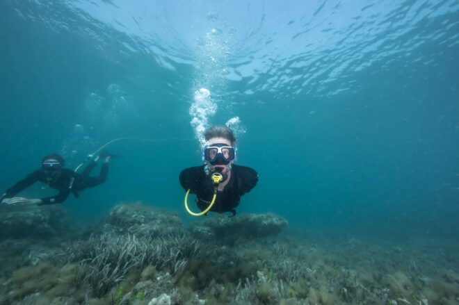Corralejo: Lobos Island Beginner Snorkel and Dive Boat Tour - Diving Experience