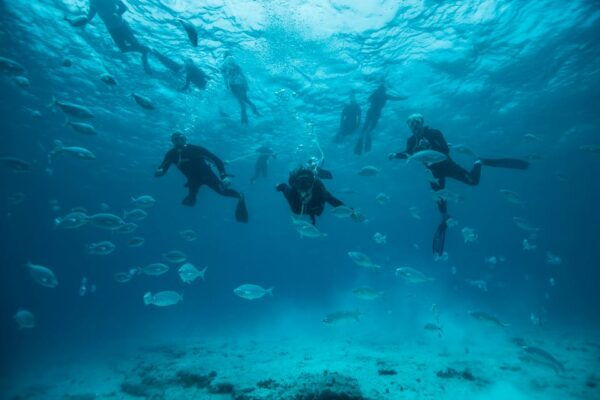 Corralejo: Lobos Island Beginner Snorkel and Dive Boat Tour - Customer Reviews