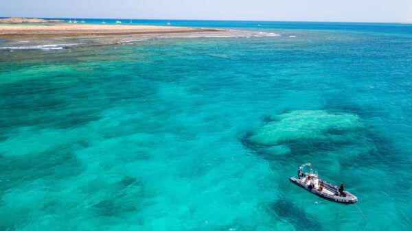 Corralejo: Lobos Island Beginner Snorkel and Dive Boat Tour - Frequently Asked Questions