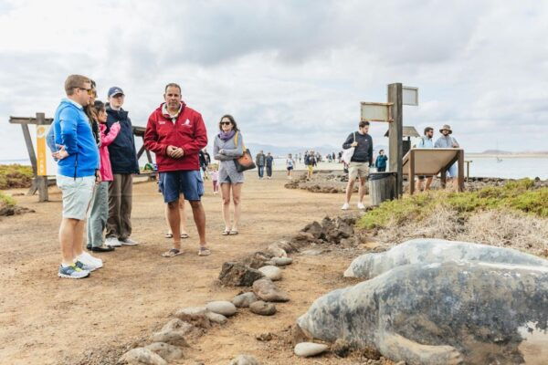 Corralejo: Sail for Lobos Island With Drinks and Snorkeling - The Sum Up