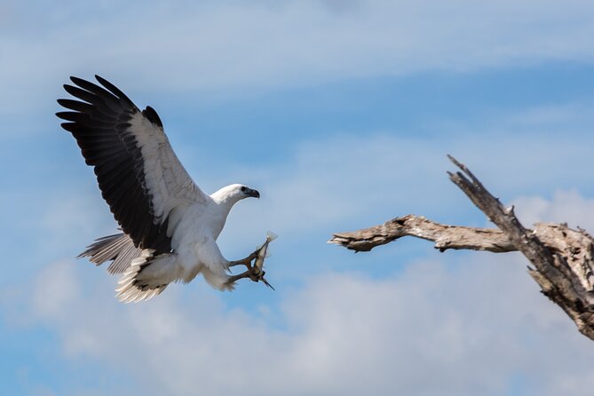 Corroboree Billabong 2.5 Hour Lunch Cruise - Cancellation Policy