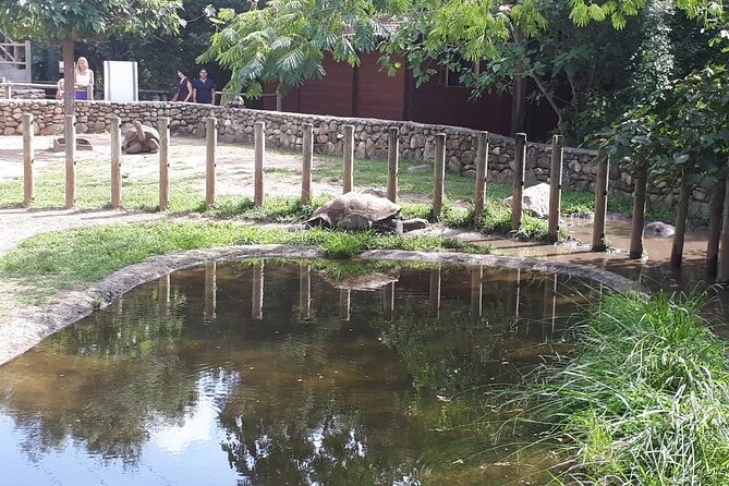 Corsica A Cupulatta Turtle Park Skip the Line Admission Ticket - Overview of A Cupulatta Turtle Park