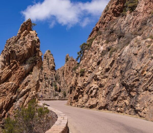 Corsica Dream: 8-Day Shared Group Escorted Package - Local Cuisine and Dining Experience