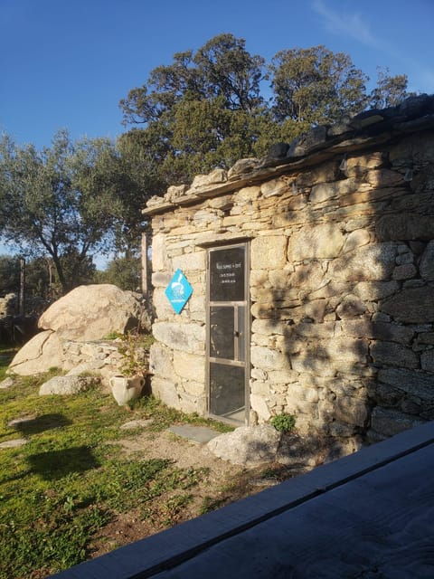 Corsica: Organic Wine Tasting & Local Lunch - Exploring Organic Wine Production