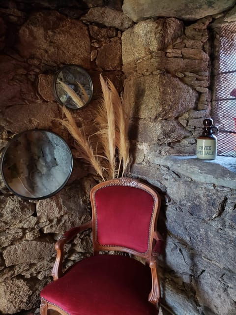 Corsica: Organic Wine Tasting & Local Lunch - Discovering Endemic Grape Varieties