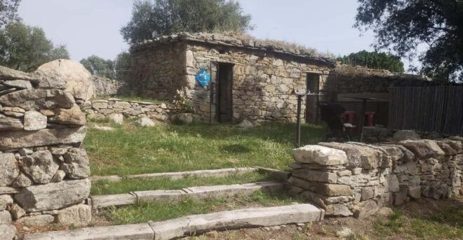 Corsica: Organic Wine Tasting & Local Lunch - Language and Accessibility Options