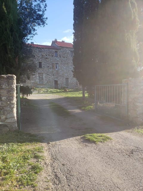 Corsica: Organic Wine Tasting & Local Lunch - Booking and Reservation Process