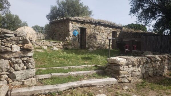 Corsica: Organic Wine Tasting & Local Lunch - Questions You May Have