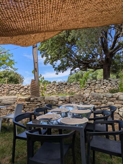 Corsica: Organic wine tasting - Practical Details: What You Need to Know