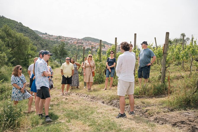 Cortecorbo Winery: Pizza Cooking Class & Lunch/Wine Tasting - Practical Information