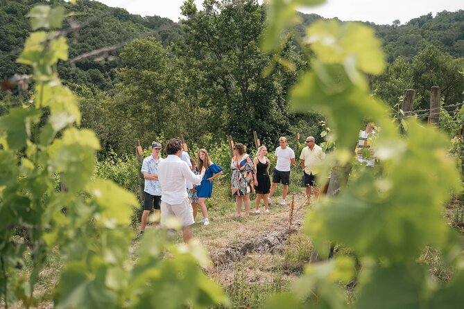Cortecorbo Winery: Pizza Cooking Class & Lunch/Wine Tasting - How to Get There
