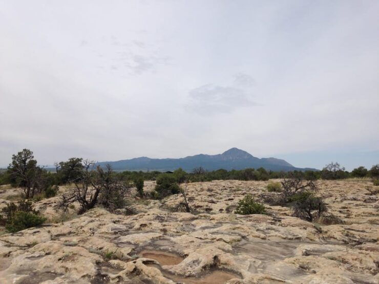 Cortez: Hawkins Nature Preserve Guided Walking Tour - Experience Highlights