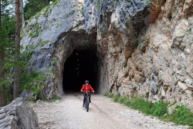 Cortina Dolomites: E-Bike Private Full-Day Tour - Experience Description