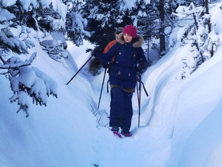 Cortina Dolomites: Winter Hiking & Sledding Experience - Tour Details